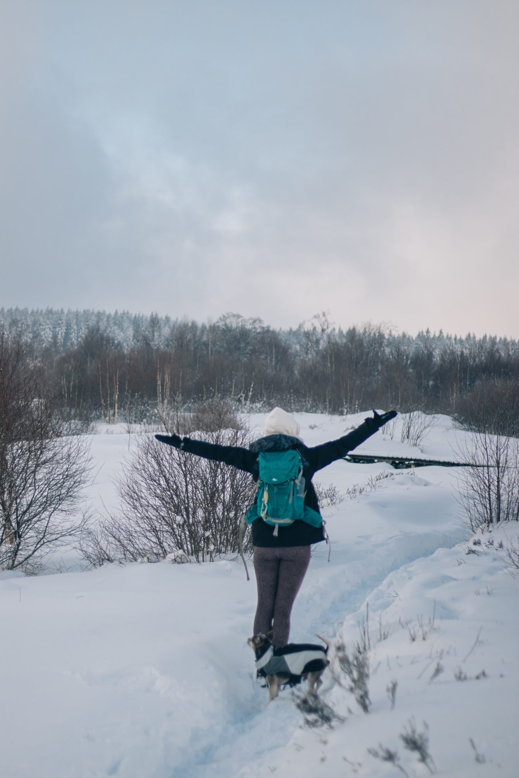 Ultralight Packable Down Jacket