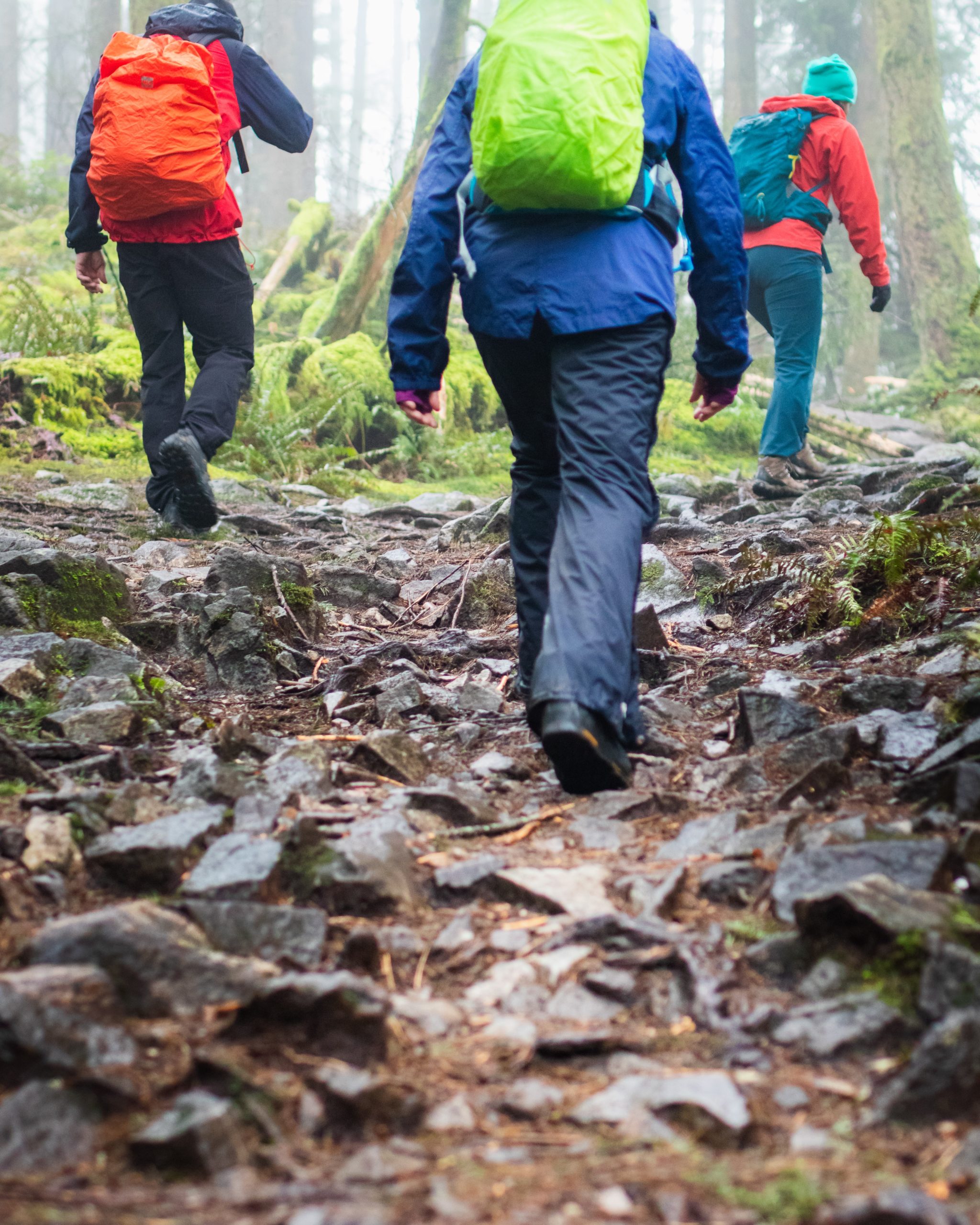 Waterproof Hiking Pants