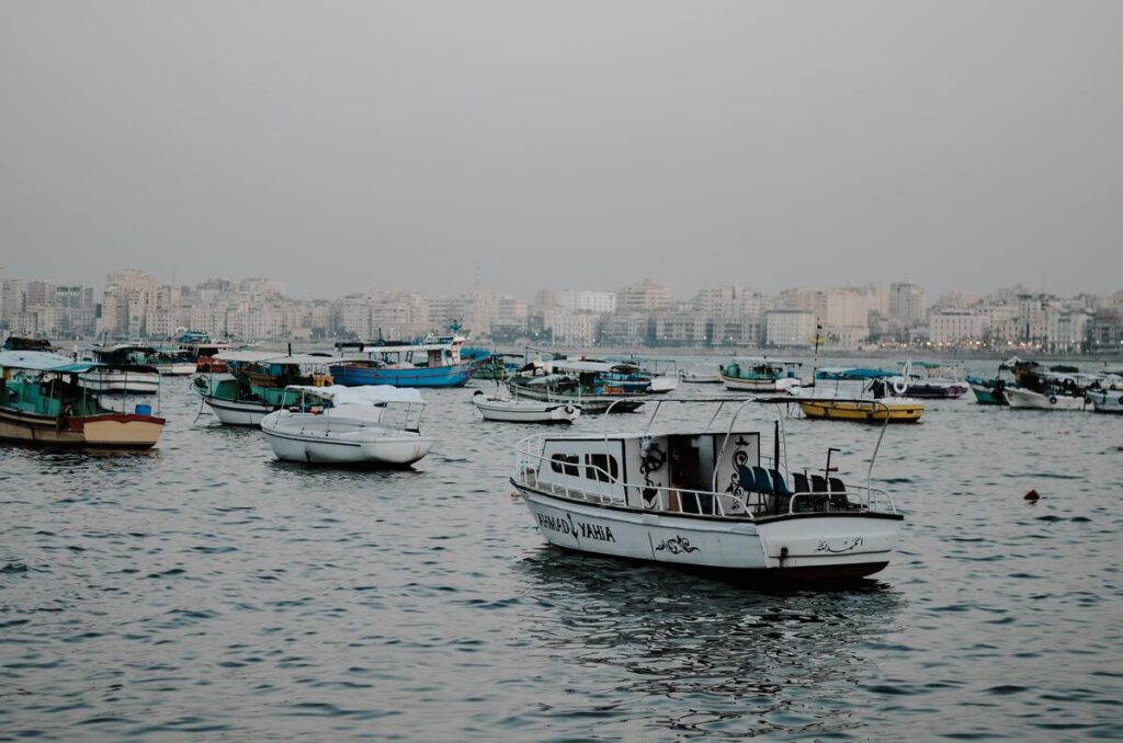 Scuba Diving In Alexandria