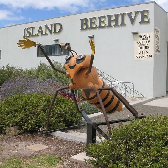 Kangaroo Island  Beehive