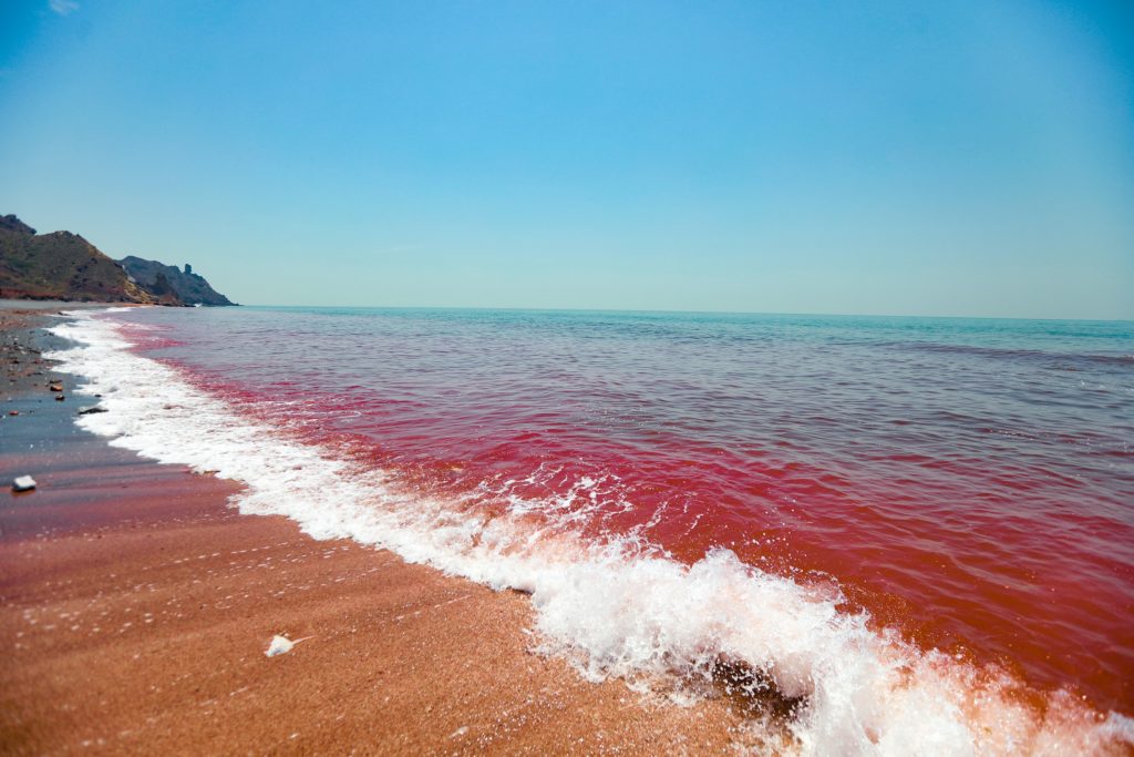 Hormuz Island Red Beach