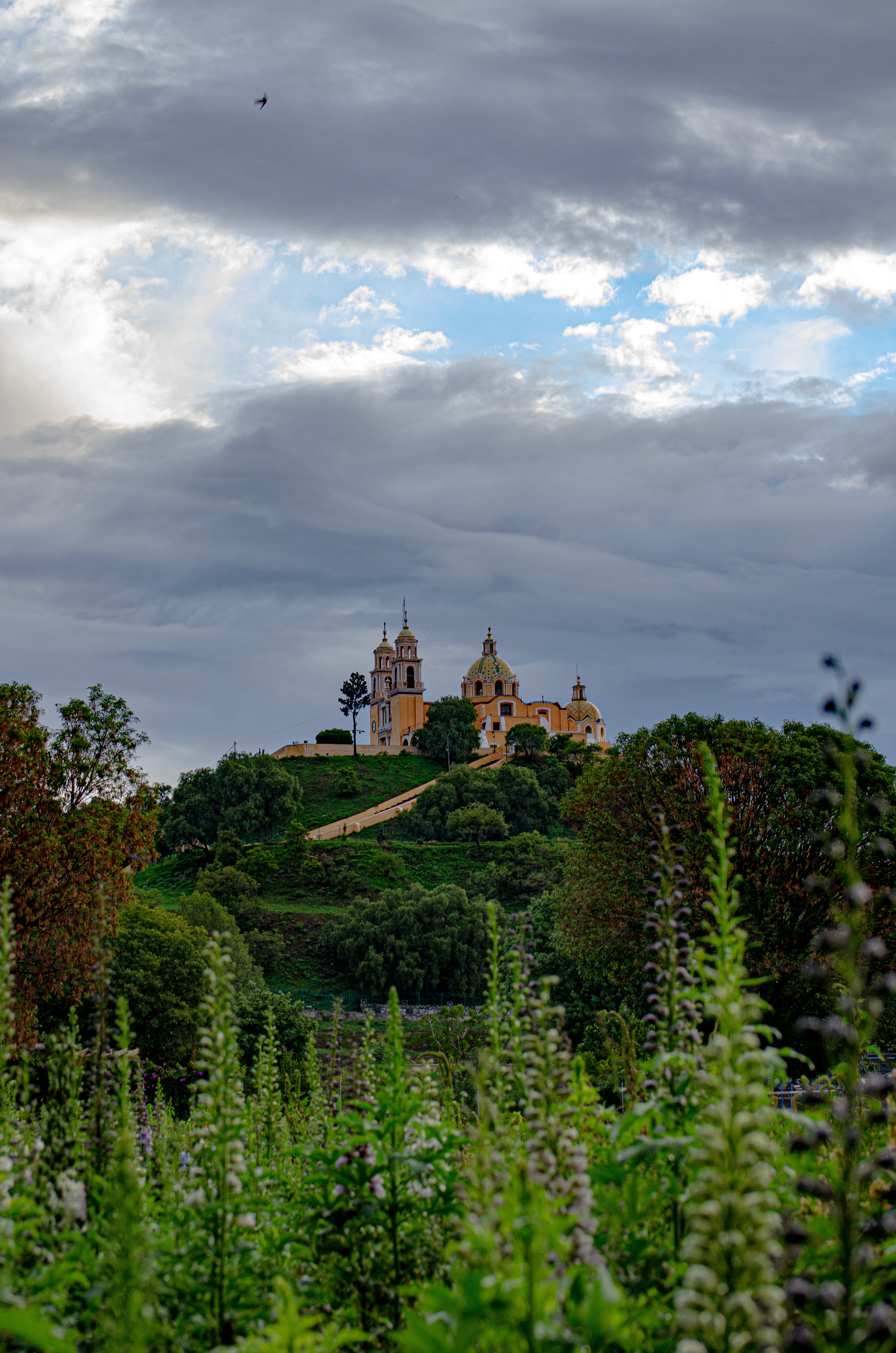 Cholula