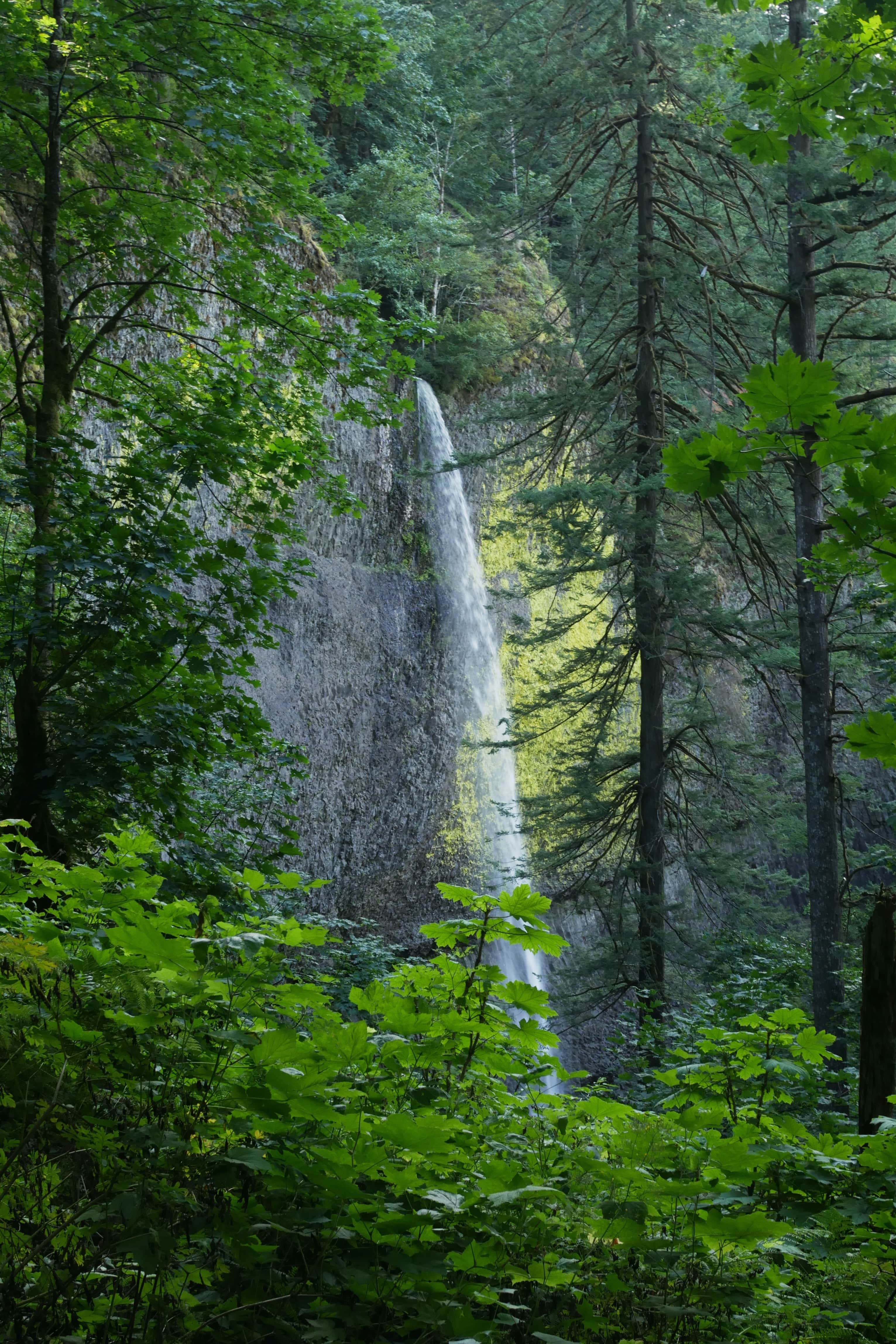 Horsetail Falls Portland