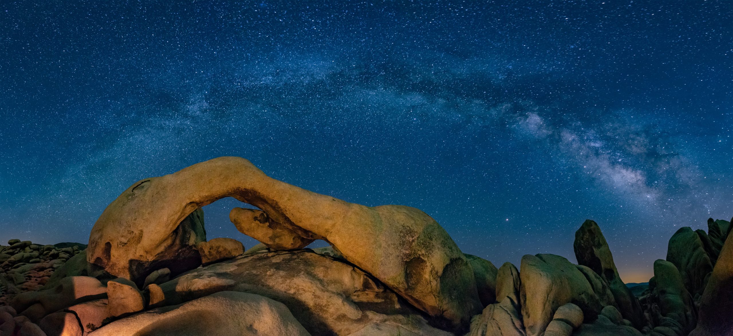 Joshua Tree Best Hikes