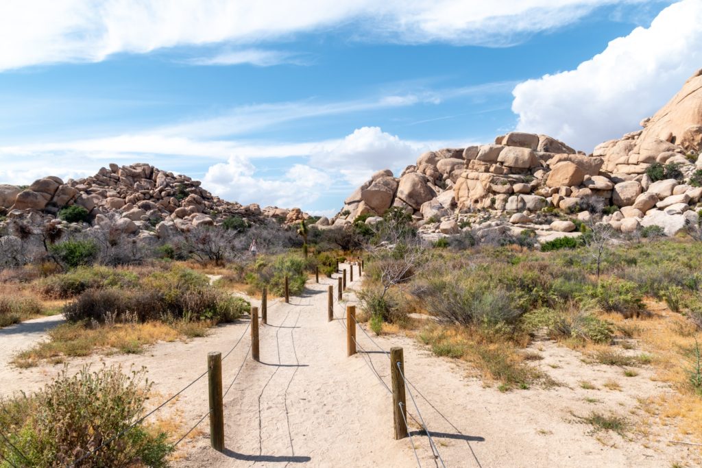 Barker Dam Trail Joshua Tree