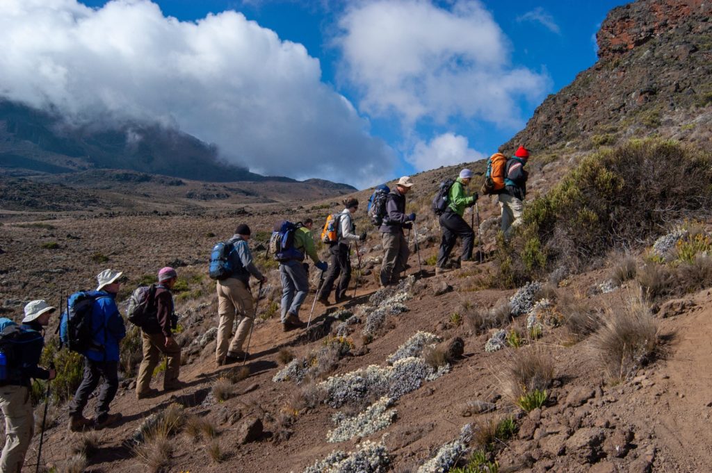 Mount Kilimanjaro Umbwe Route