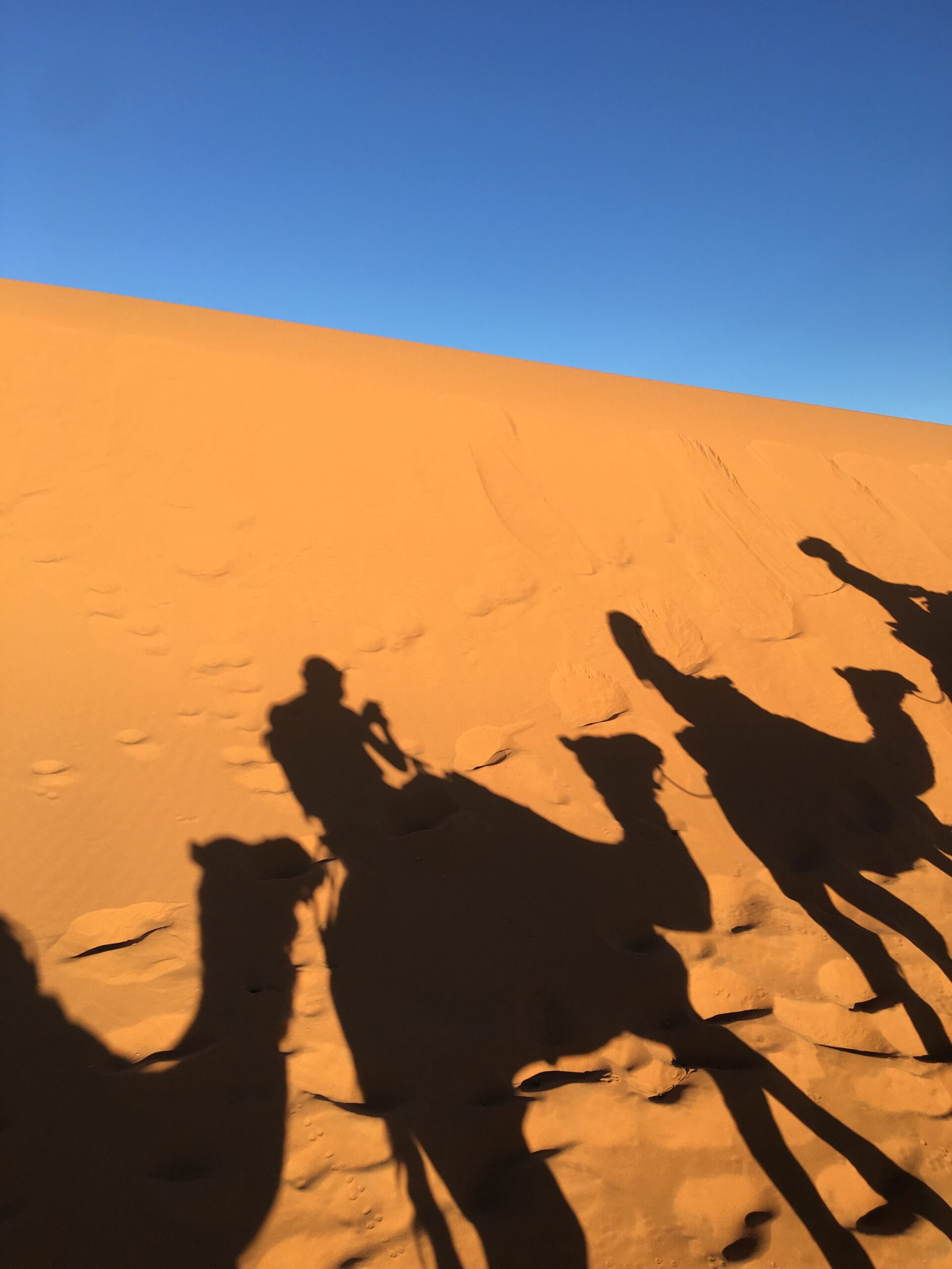 Camel Trekking in Morocco