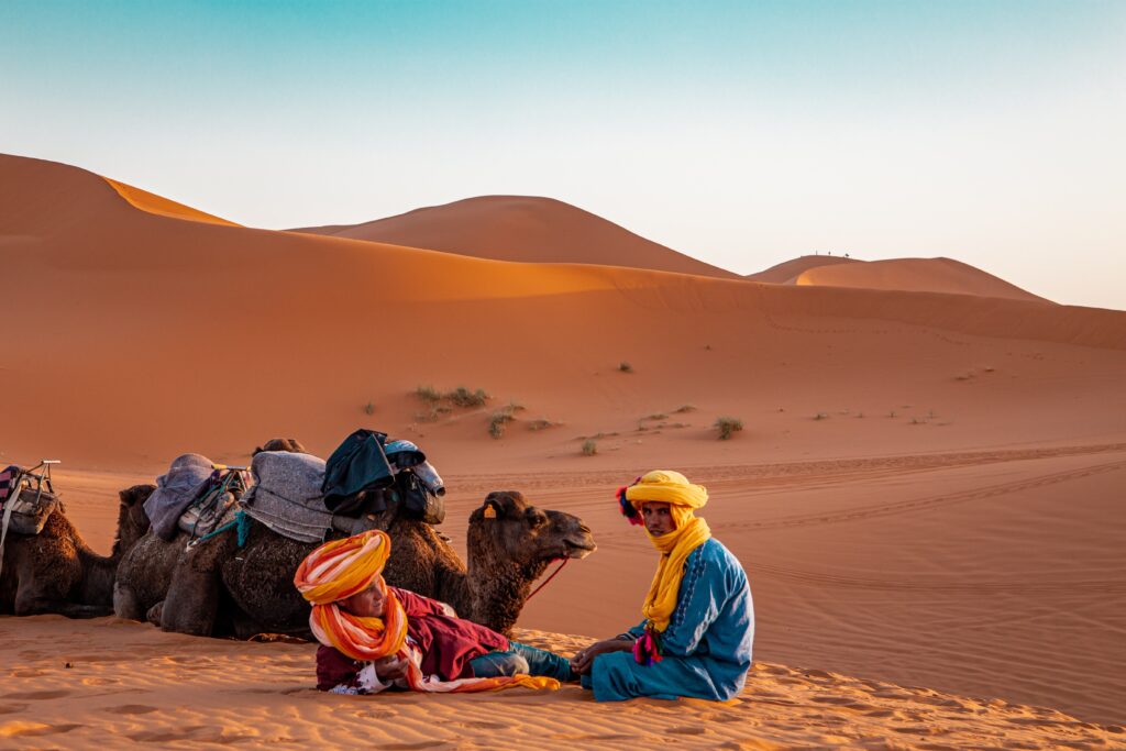 Camel trekking