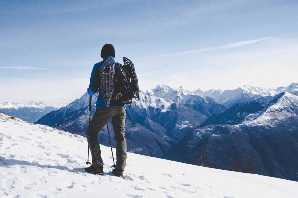 Trekking poles