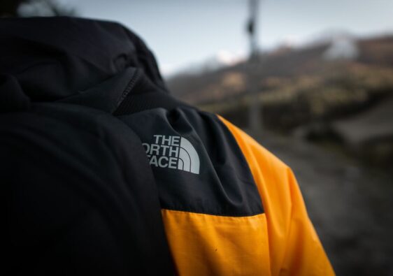 The North Face Arctic Parka