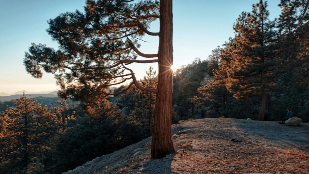 Angeles National Forest Southern California