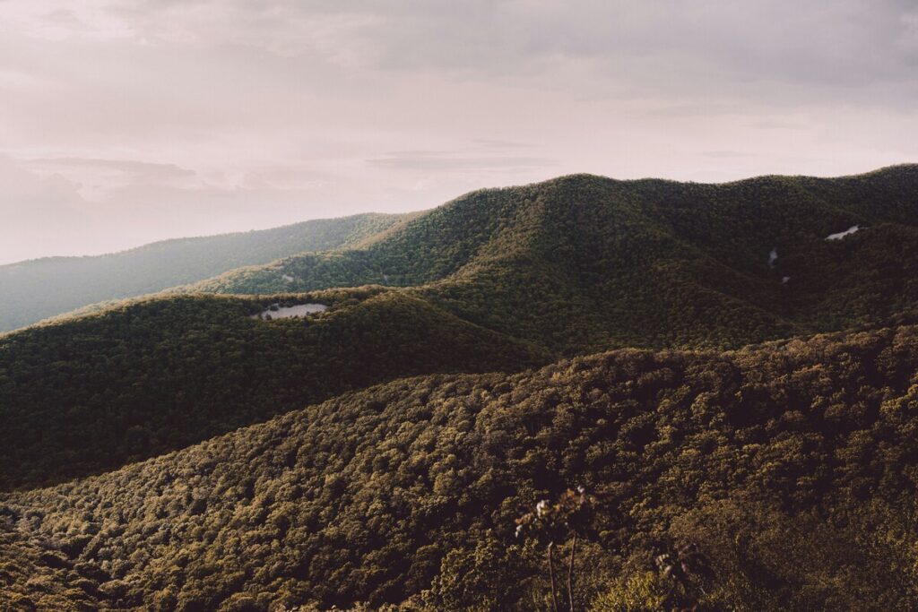 Shenandoah National Park east coast