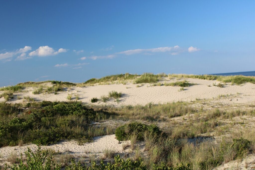 Cape Henlopen State Park, Delaware