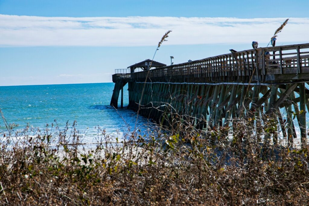 Myrtle Beach State Park, South Carolina