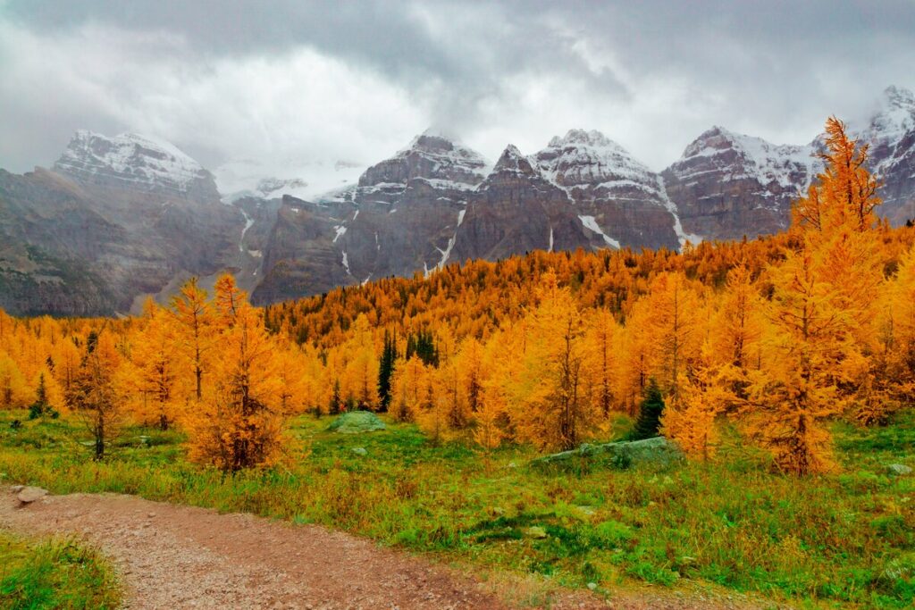 Rocky Mountains Camping Colorado