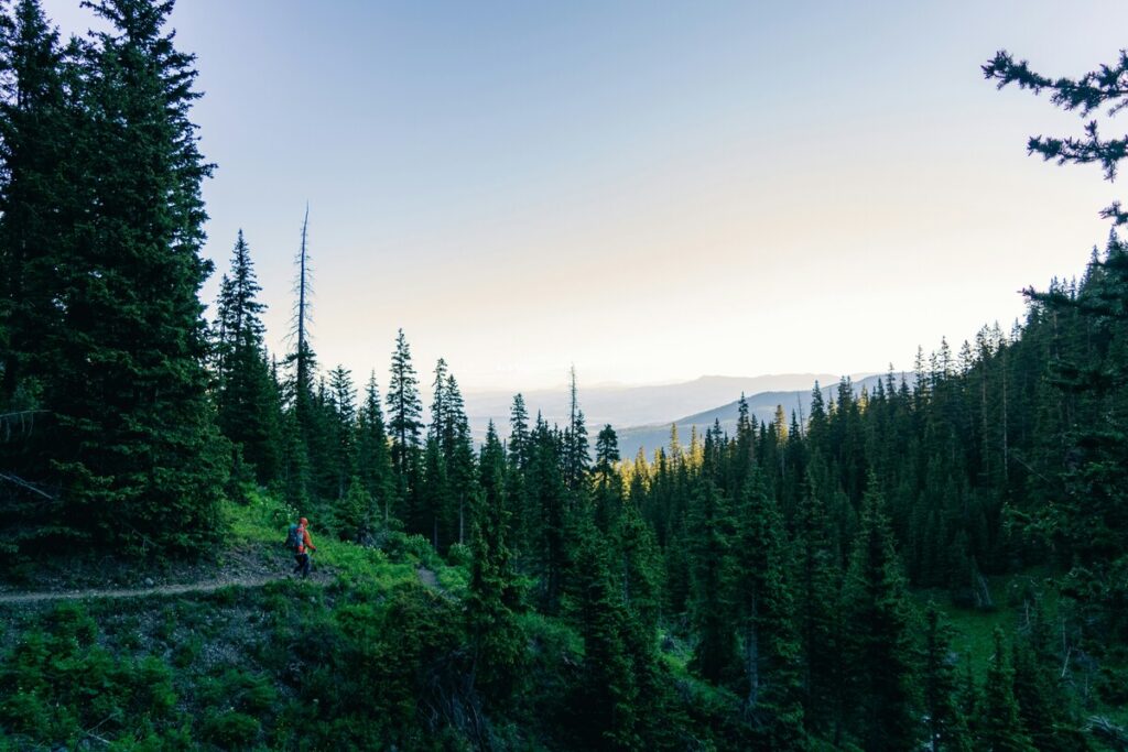 san juan national forest camping colorado